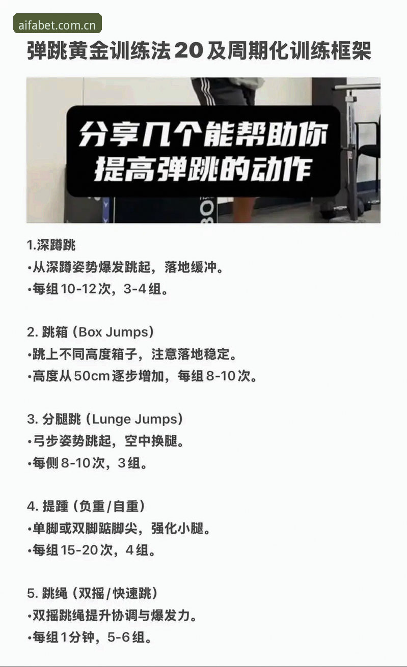 aifa体育手机版必备的5个核心技巧让竞技体验翻倍